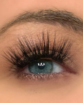 Aurora Refill Set- 19mm